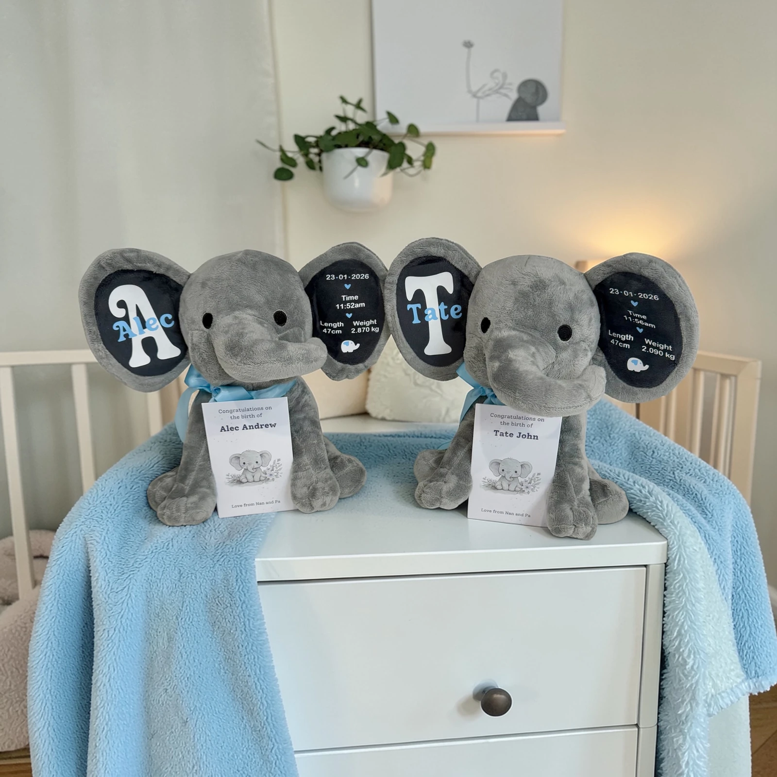 Elephants Twins